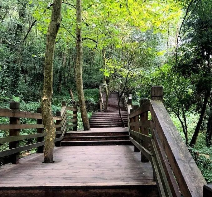 云南旅游|冬季来临，已过大学此生一定要自驾去一次四川