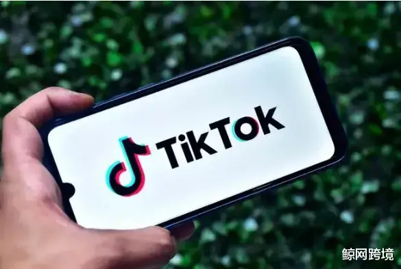 天津市|品牌如何玩转TikTok，一文读懂品牌运营的底层逻辑