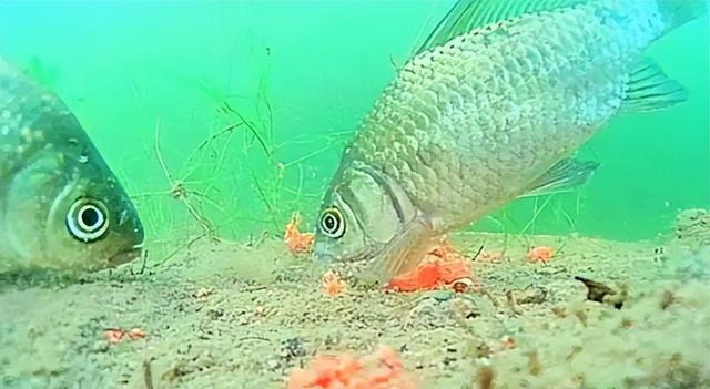 |能否爆钓决定因素在于水层温差,钓鱼首先看天气的目的—估算水层