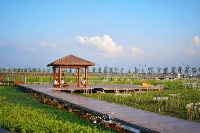 古镇|你见过星光花海吗?吉林的这个地方,日夜各有玩法门票免费