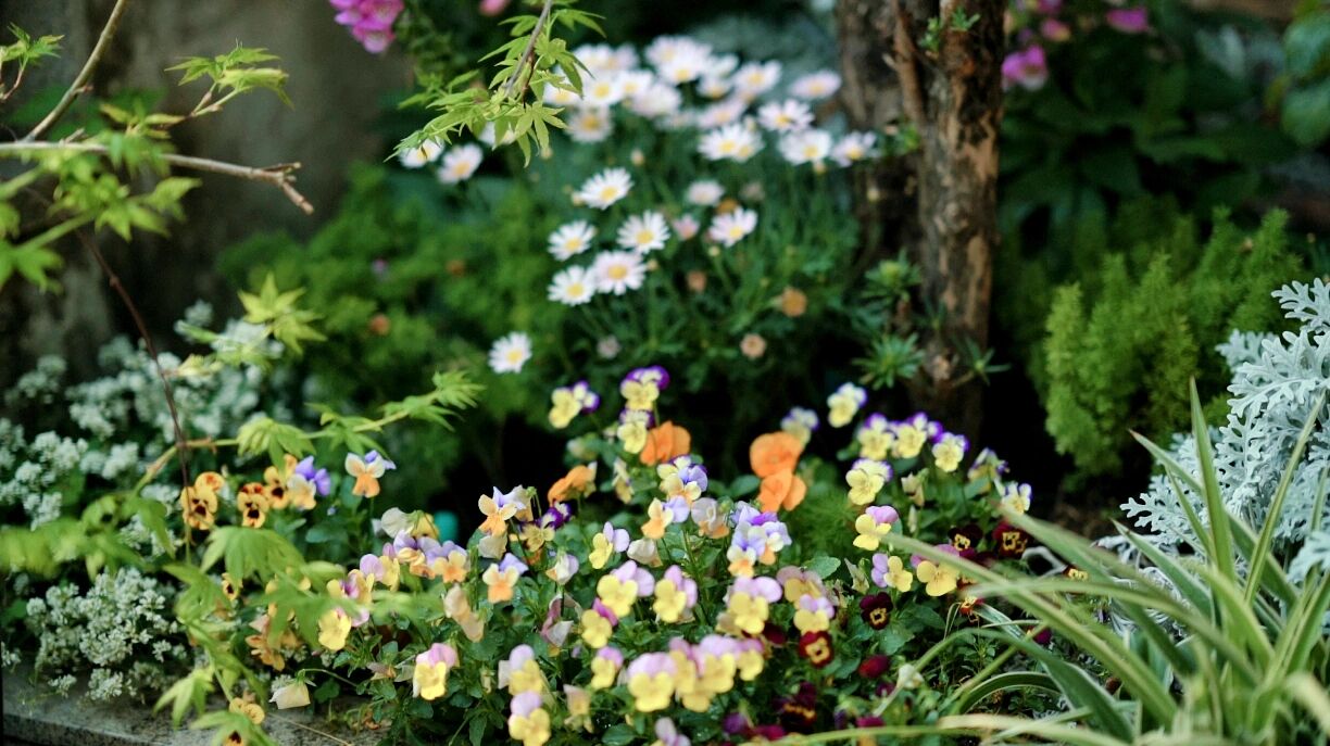 DIY造园:自己设计打造100㎡花园,不需要花太多钱,但充满成就感