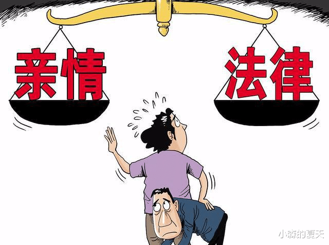 回顾舅舅新婚外出打工,嘱托外甥照顾家里,却忽略了他与舅妈仅差10岁