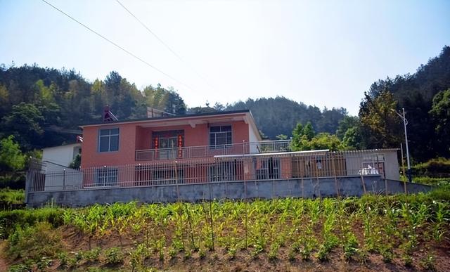 |农村严禁私自建房?严查各类“自建房”,农民朋友们要了解下