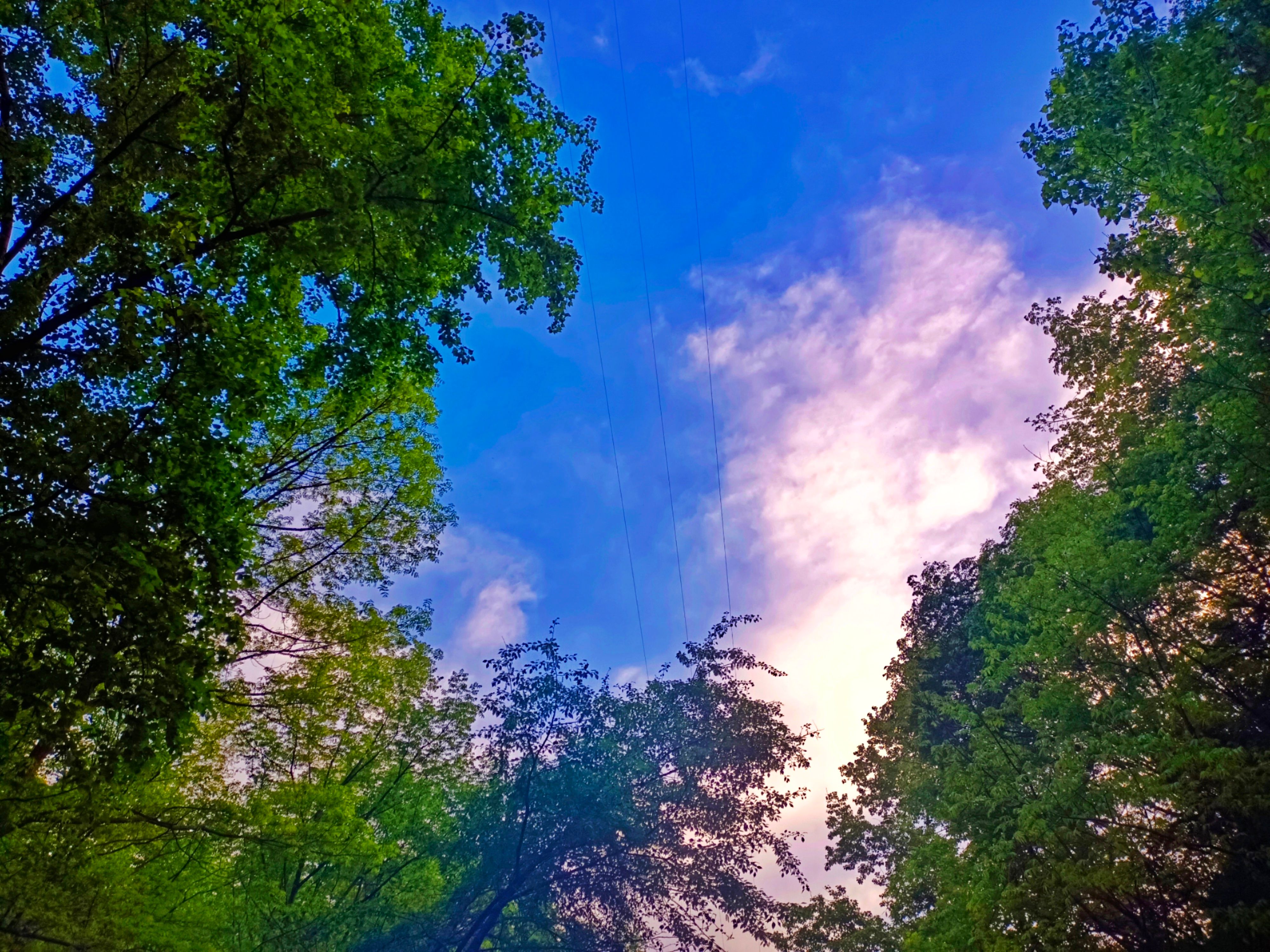 洛阳|和闺蜜去洛阳这个宝藏景区，景色美丽太出片，关键价格还不贵