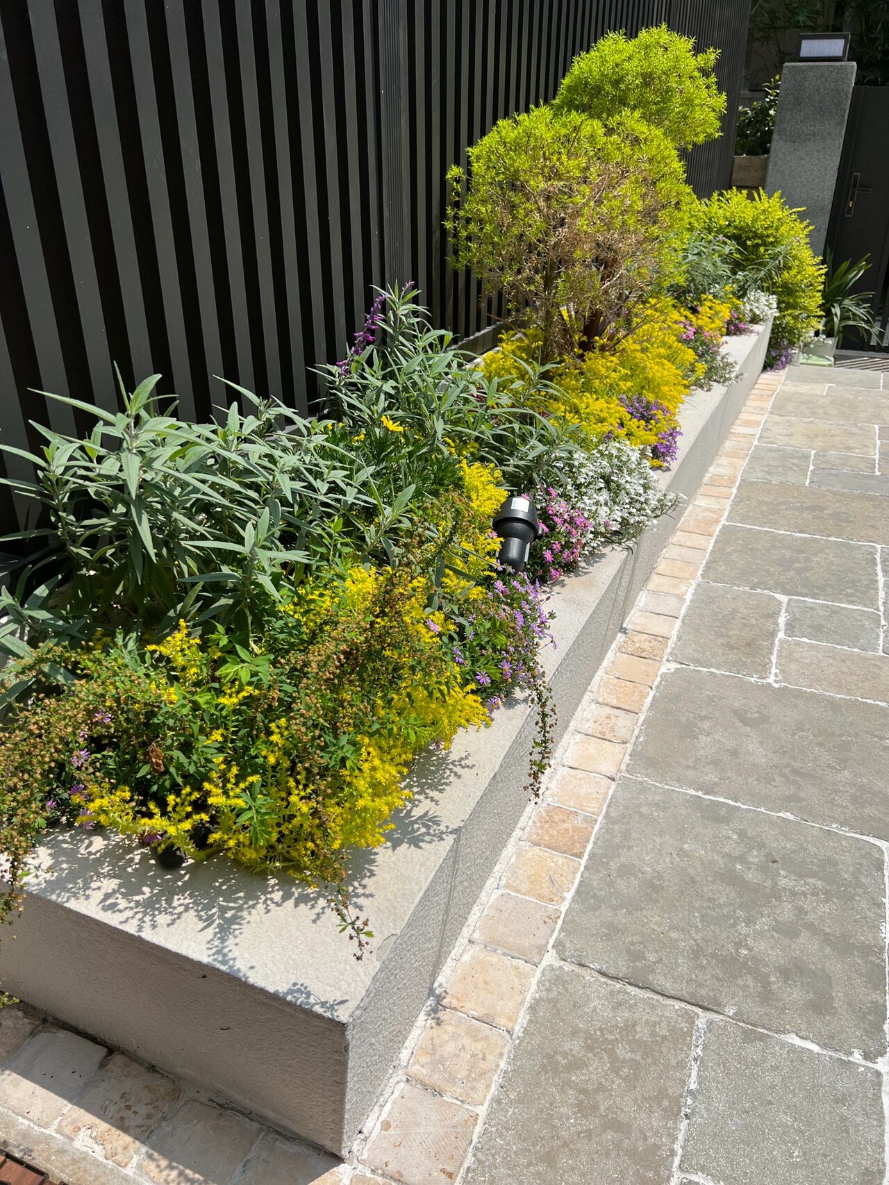 一楼40㎡小院,升级改造成休闲小花园,这才是院子的正确打开方式