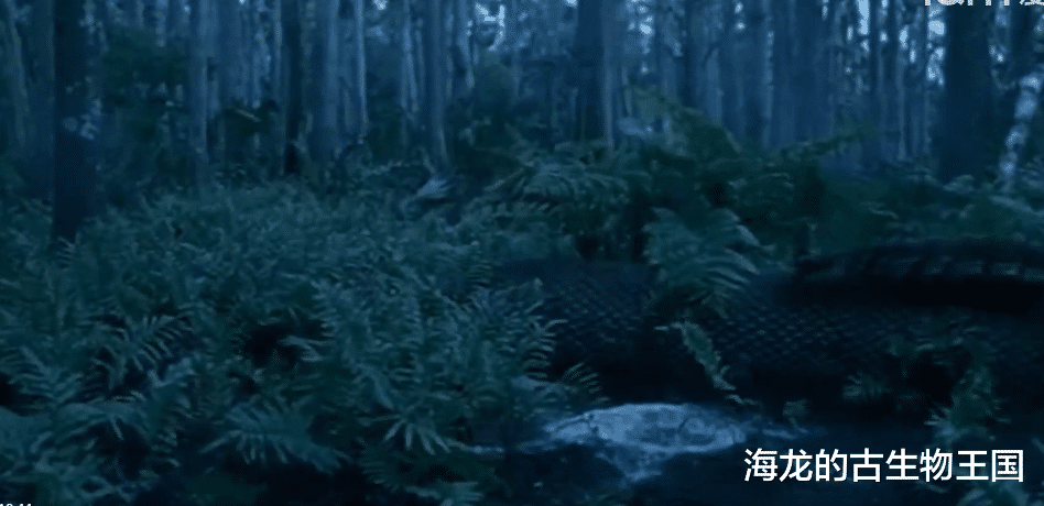 油页岩蜥笑到最后!巨型虫的时代快将告终!爬行动物成为时代霸主!