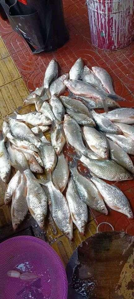 |【作钓报告】2022钓鱼之路已走完,2023开拓新的天地解锁新鱼种