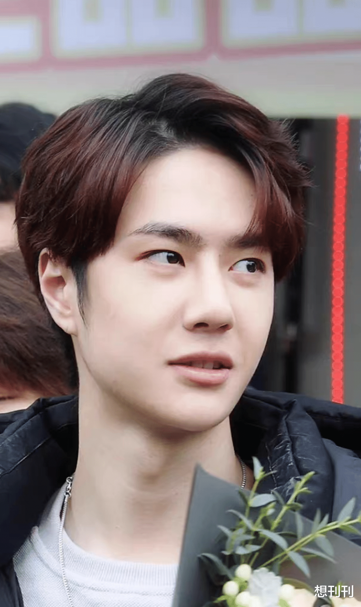 李易峰|尬吹颜值太社死！路人长相、肿成猪头、胖成大海，这也夸得下去？