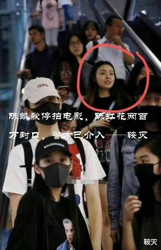 陈凯歌|陈凯歌停拍电影，陈红花两百万封口，警方已介入