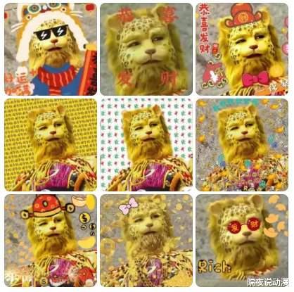 豹子|一夜之间,“金钱豹”刷屏互联网!年轻人为了暴富,究竟有多拼?