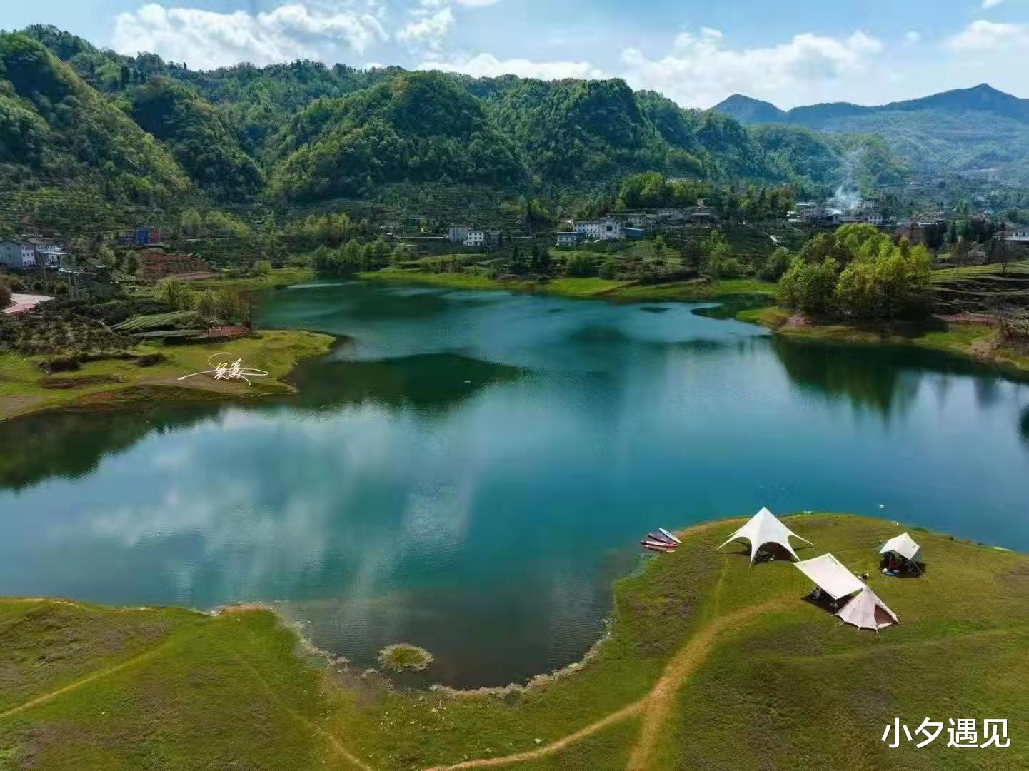 蚊子|微型小说：春风沉醉的夜晚