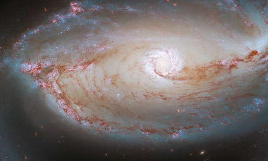 恒星形成的斑节虾星云,究竟有何惊人的面貌?让我们一探究竟
