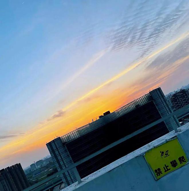 姚洋|魔都解封第一天,我火速搬进了新家