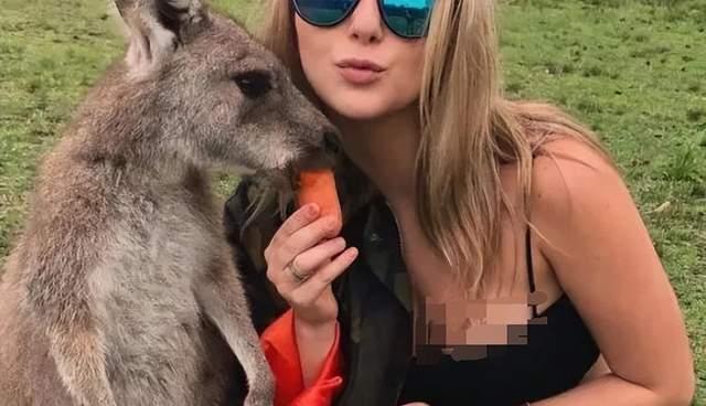 什么动物看起很可爱,但是对人类极其危险?