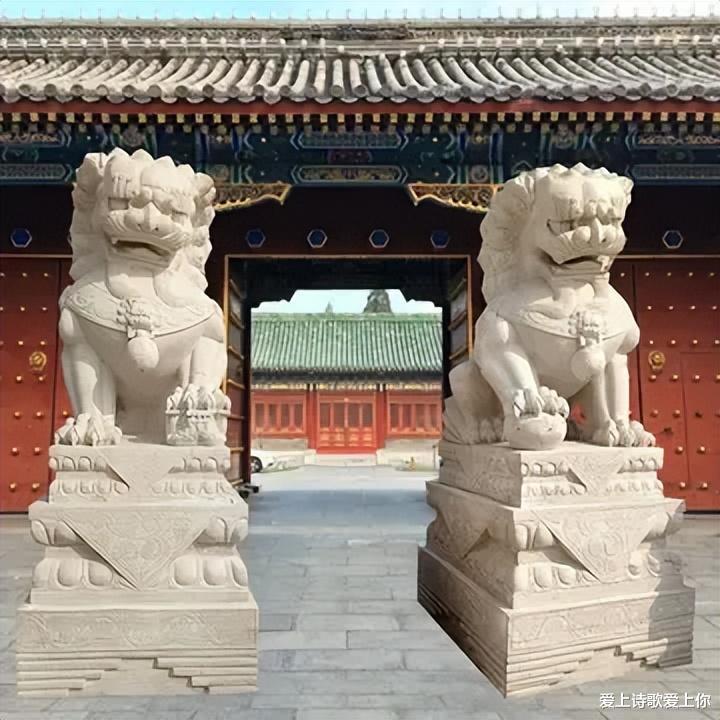 中国为何没狮子?曾让东北虎都忌惮的中国狮子,最终输给了什么?