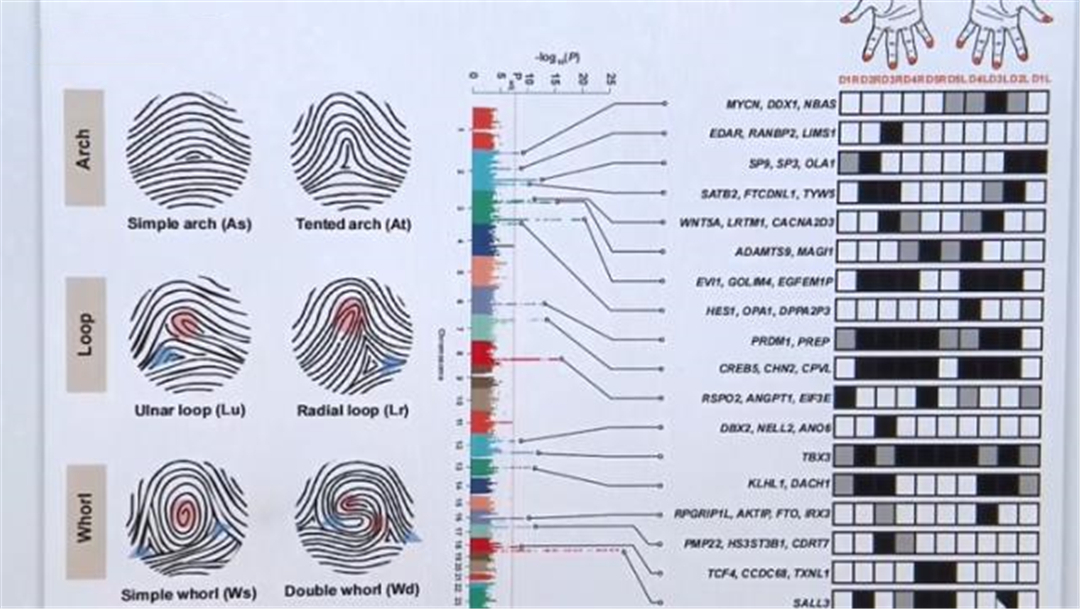 一斗穷、二斗富?康熙10个“簸箕”,科学家发现斗与簸箕的奥秘