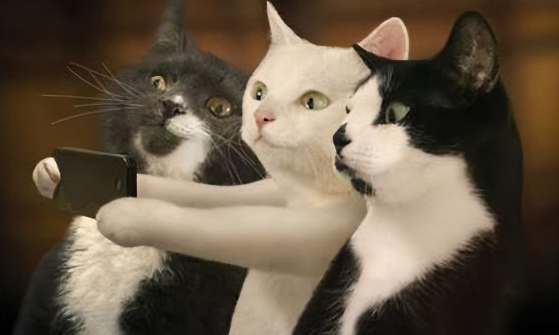 男子烫发头上被分12个区收费每个区域398元 网友：直接按根算多好？