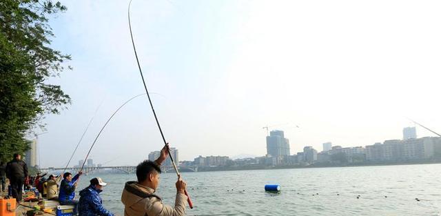 |男子夜钓在河边“撞鬼”,真相让人哭笑不得,网友:踹进河里喂鱼