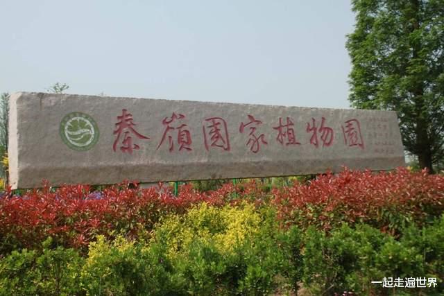 卓尼|世界上面积最大的植物园，就藏在我们中国