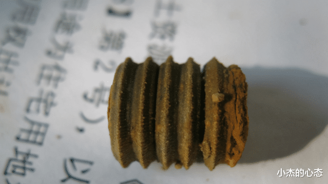 地球上真有史前文明?化石中发现芯片和螺丝钉,主角却是海洋化石