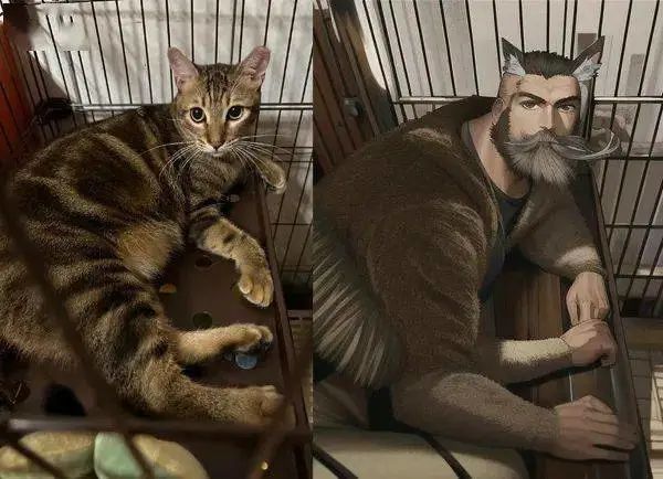 听说AI绘画挺火，于是拿自家猫照片一试后……果然暴露了！
