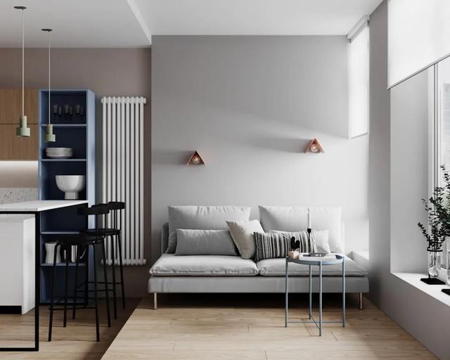 年轻夫妇买下30㎡公寓,改出超美观景客厅和大卧室,太有品味了!