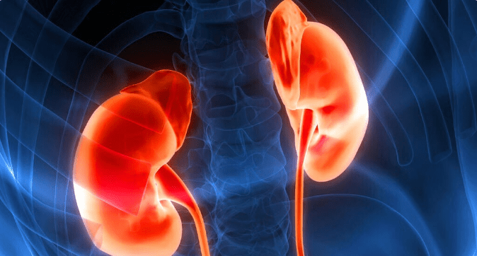 山药|肾病的结局一定是尿毒症?趁早稳住4点,可阻断发展