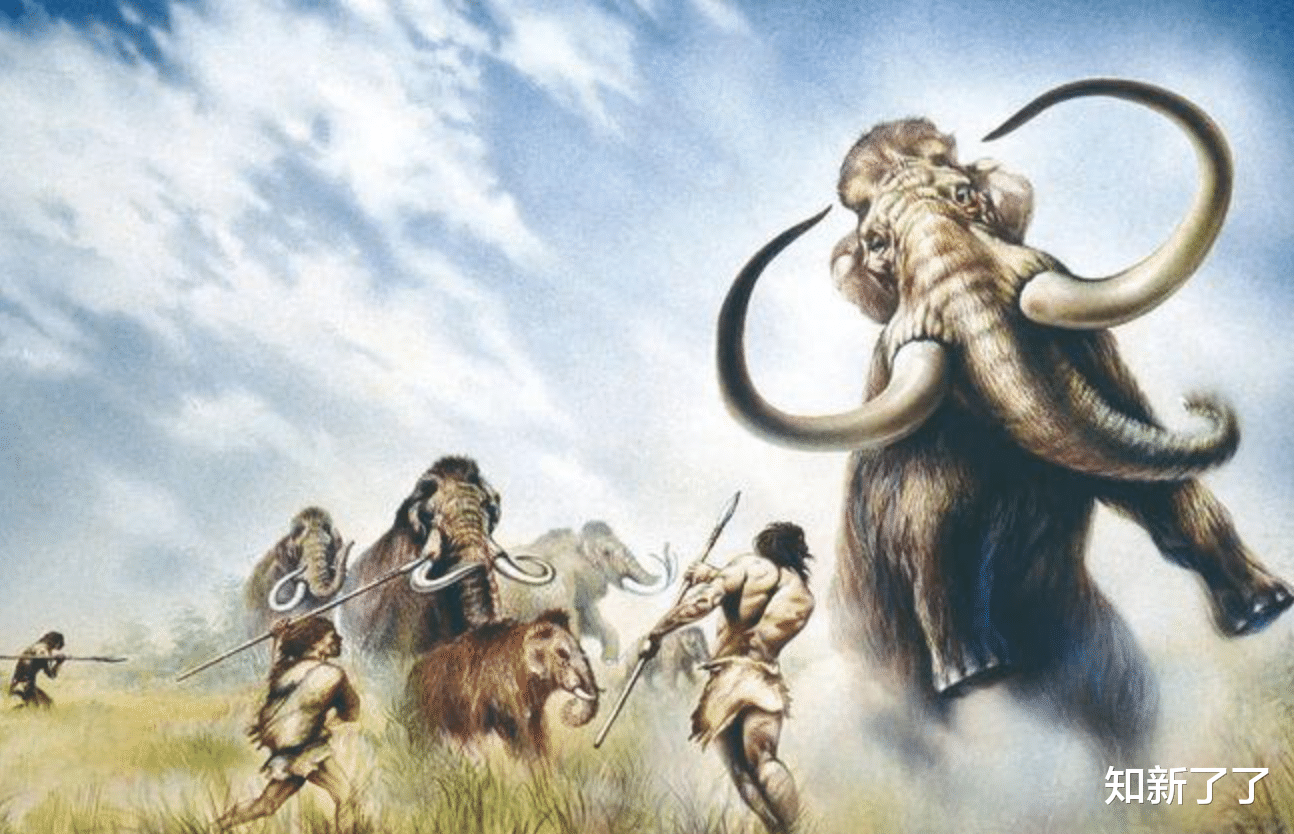 新墨西哥州发现了3.7万年前疑似被人类捕杀的猛犸象骨骼