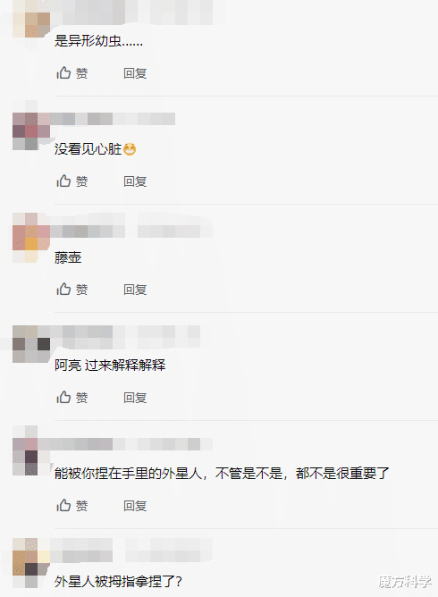 罕见!国外网友抓获一神秘透明生物,异形上演?对人类威胁有多大