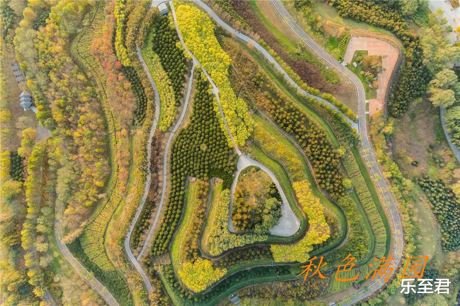 肾病|因为穷你养成了哪些习惯?