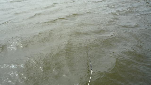 水库|没想到,钓龄20多年的我,还能在选竿子上吃大亏……