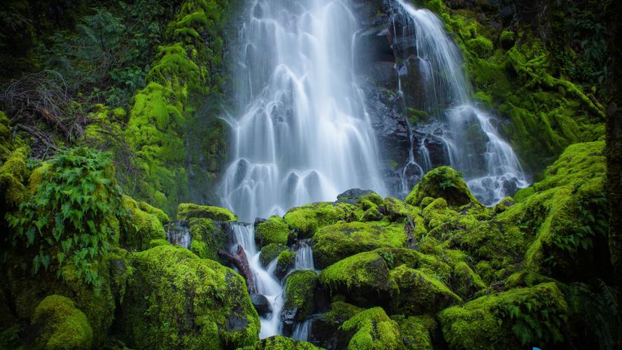 |从八字看哪些人会经常换工作