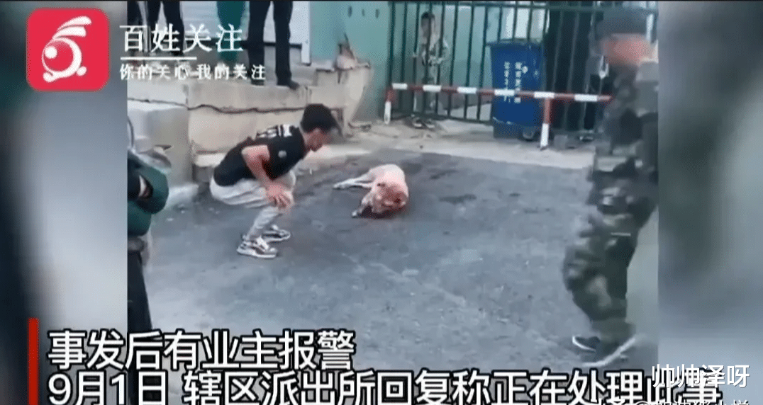 两个男子持棍殴打一只流浪狗，把狗打得头破血流，一女子大哭着制止了他们