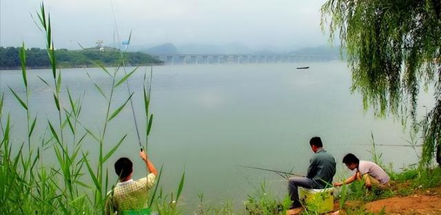 疯狂|笑出眼泪!湖北俩男子火了,全副武装“潜水”钓鱼,网友:太疯狂