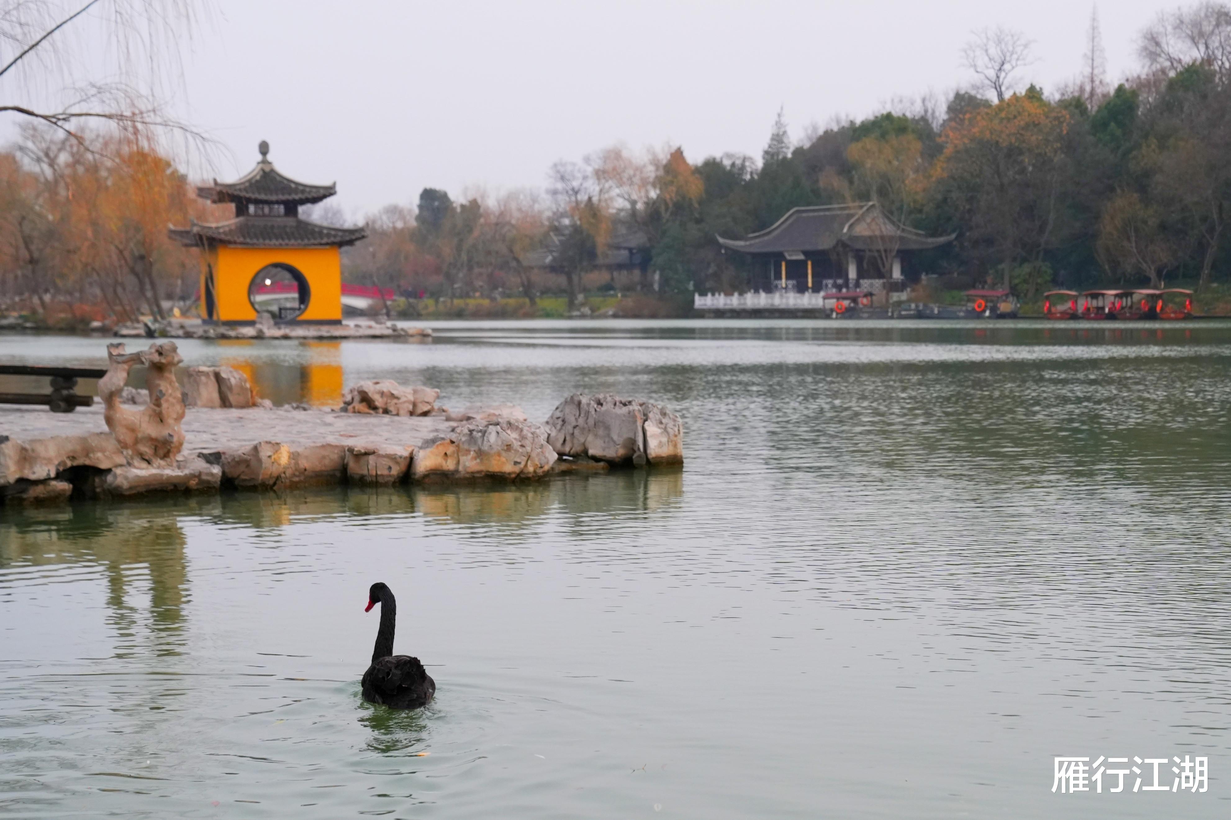 平遥古城|新年旅行的正确打开方式，扬州瘦西湖围炉煮茶，东关街听扬州清音