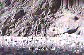 佣兵|美国雇佣兵被俄军钓鱼伏击，落入陷阱后受重伤撤离！M4突击步枪、悍马军车，雇佣兵的标配