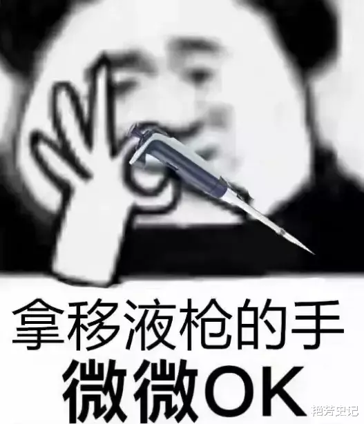 他为了摸鱼发明的工具，让全世界的科研狗工作量增加 8 倍……