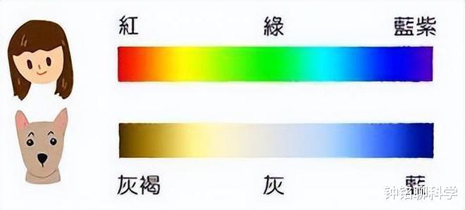 罕见“咸蛋黄色”的月亮来袭!为什么月亮会变黄,这意味着什么?