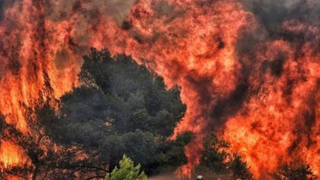 北极圈将变成沙漠？高温正在改变一切，80年内冻土或减少99%