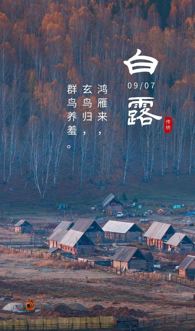 白露图片配图唯美高清带字大全,白露朋友圈问候语文案句子