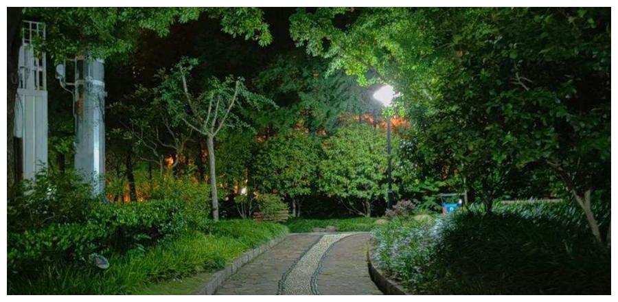 案例:女教师未穿胸罩夜跑归来,丈夫发现其背后有火罐印引发血案