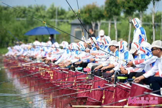 饵料|桓台县第十二届全民健身运动会钓鱼比赛在阡陌小镇举行