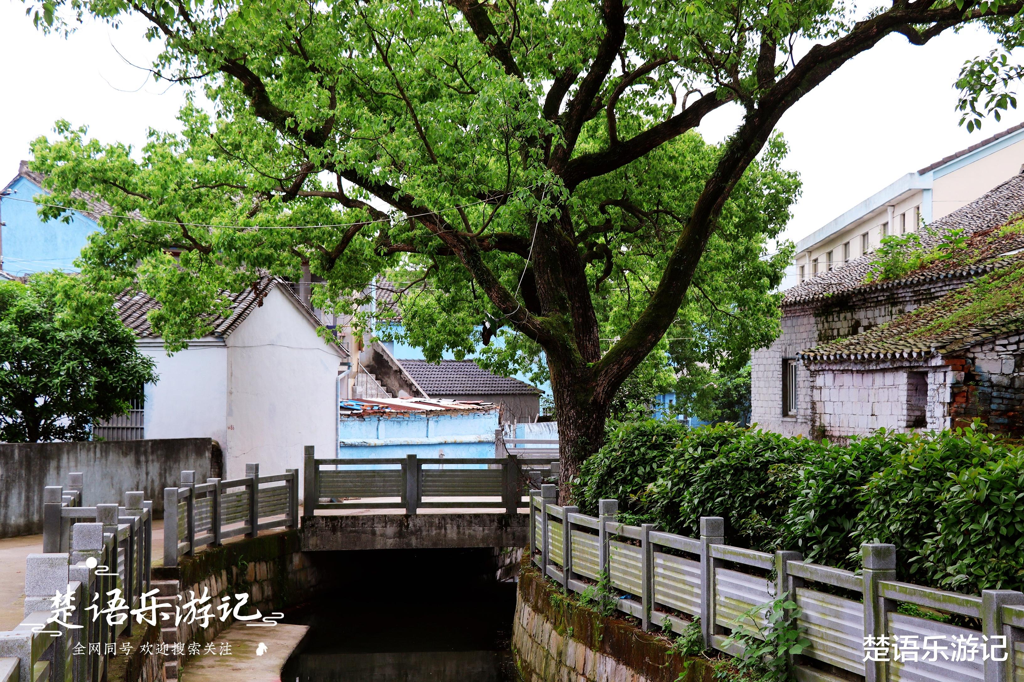 宁波|浙江宁波有一个古村落，古朴秀美却少有人来，村内竟有神话传说