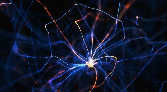 量子力学集大成者是中国人?科学界:是杨振宁创建了量子标准模型