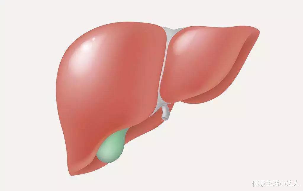 肝脏|女人想肝好，要牢记：避免三习，多吃三食，做好三件事