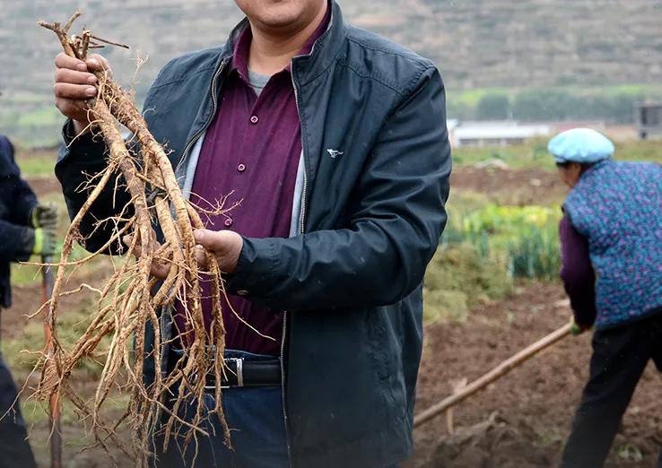 牛奶 谁说国货护肤品不如欧美？这些“奶奶级”的老国货，你有用过吗？