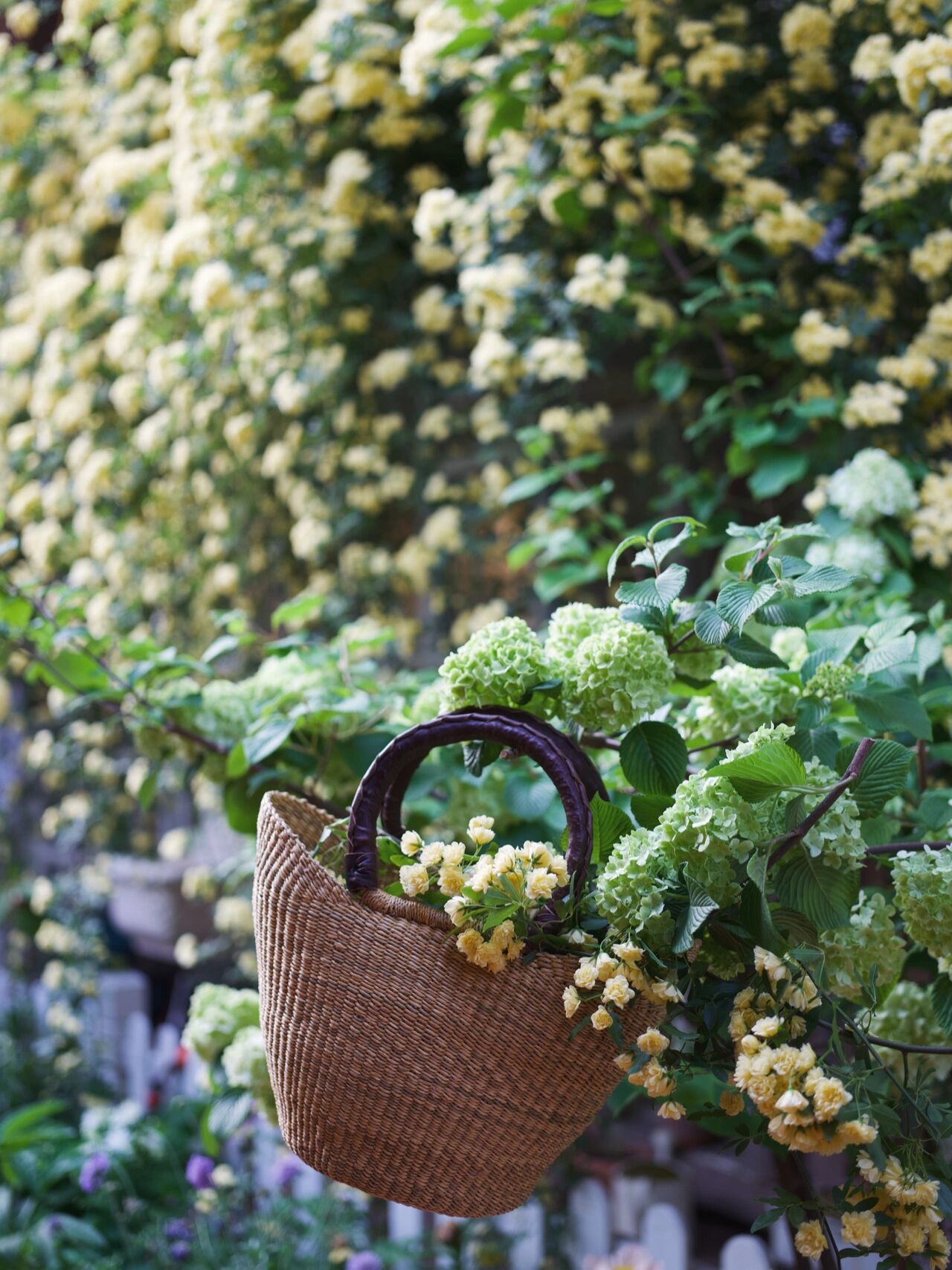 为了这个60㎡院子,买了一楼的房子,打造自己的秘密花园,太美啦