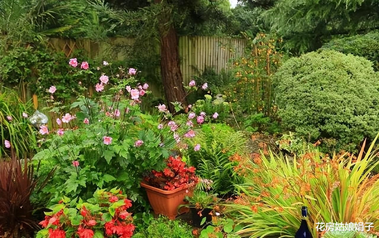 撂荒的1000㎡院子重建，一半养花，一半种菜，享受宁静的田园生活