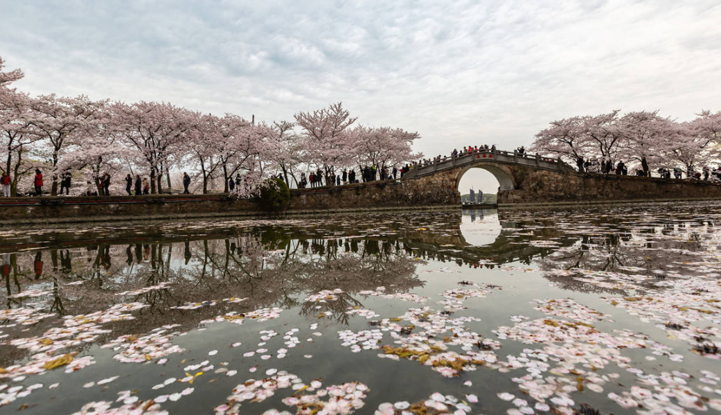 无锡|无锡那些既有风情,又不会游客爆满的景点,有哪个可以打动你?