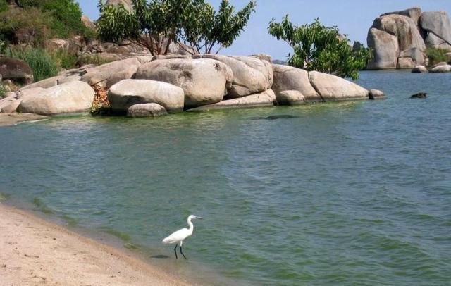 高原|说起中国五大淡水湖以及世界五大淡水湖，它们都位处哪里？